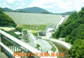 4. 安威川ダム下流側(シャトルバス）